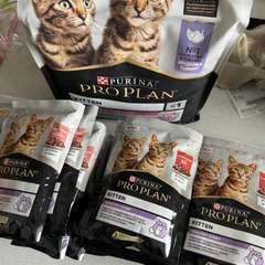 Фото отзыва 10887451