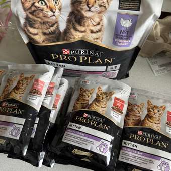 Корм влажный для котят PRO PLAN HEALTHY START 85г с курицей в желе: отзыв пользователя. Зоомагазин Зоозавр