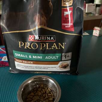 Корм сухой для собак PRO PLAN DUO DELICE 2.5 кг с говядиной для мелких и карликовых пород: отзыв пользователя. Зоомагазин Зоозавр