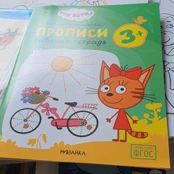 Тетради рабочие МОЗАИКА kids Три кота Прописи 3+: отзыв пользователя Детский Мир