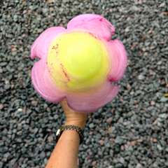 Фото отзыва 10762775