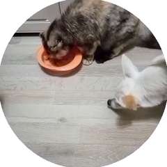 Видео отзыва 9107062