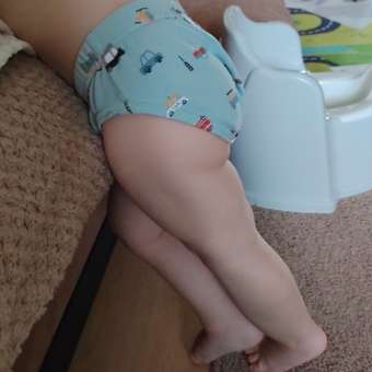 Трусы 3шт BabyGo: отзыв пользователя Детский Мир