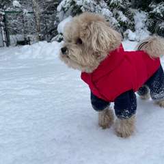 Фото отзыва 10923943