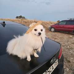 Фото отзыва 10140096