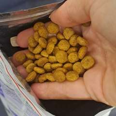 Фото отзыва 10579198