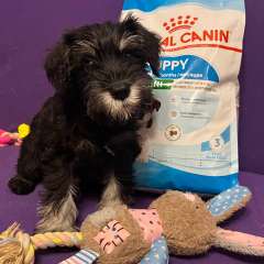 Фото отзыва 10751468