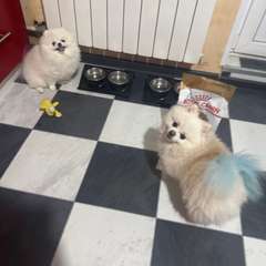 Фото отзыва 10891614