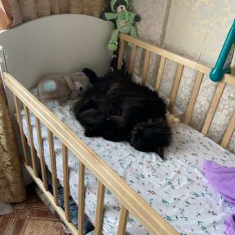 Детская кроватка Babyton Charly прямоугольная, (береза, белый): отзыв пользователя Детский Мир