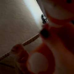 Видео отзыва 10524185