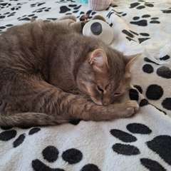 Фото отзыва 11006944