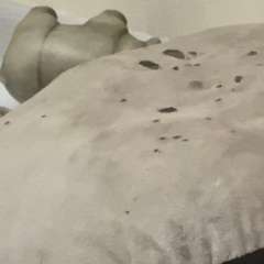 Фото отзыва 10494740