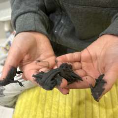 Фото отзыва 10754025