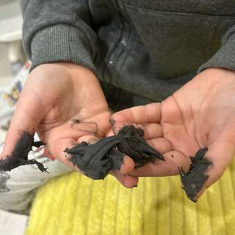 Пластилин Пифагор: отзыв пользователя Детский Мир