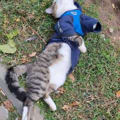 Фото отзыва 10904102