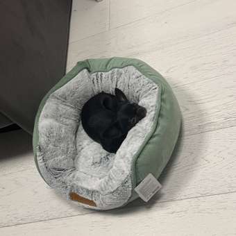 Лежанка Barbaks S 48*43*20см овальная меховая с бортиком и съемной подушкой Зелёная: отзыв пользователя. Зоомагазин Зоозавр