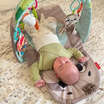 Коврик Fisher Price с дугами Ленивец: отзыв пользователя ДетМир