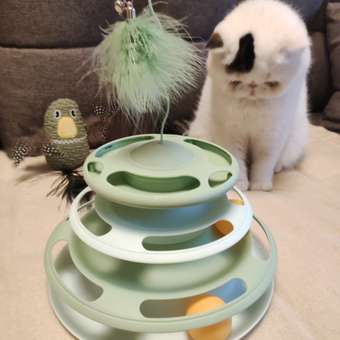 Игрушка для кошек Barbaks Пирамидка с пером и шариками: отзыв пользователя. Зоомагазин Зоозавр