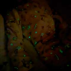 Фото отзыва 10790445