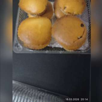 Аэрогриль CENTEK CT-3101: отзыв пользователя Детский Мир