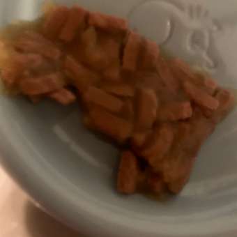 Корм для кошек ROYAL CANIN Ageing 85гр для пожилых 12+ желе пауч: отзыв пользователя. Зоомагазин Зоозавр