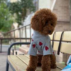 Фото отзыва 10290824