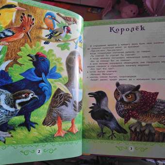 Книга УМка Сказки Братьев Гримм. Большая книга сказок: отзыв пользователя Детский Мир