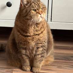 Фото отзыва 10663703