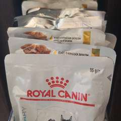 Фото отзыва 11181876