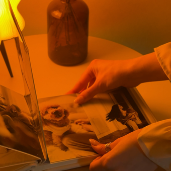 Ручная работа MAlbums Бархатный фотоальбом маленький: отзыв пользователя Детский Мир