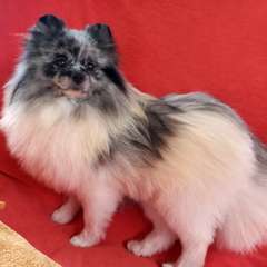 Фото отзыва 10524631