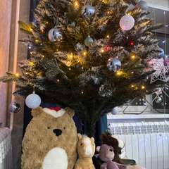 Фото отзыва 10815696