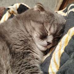 Фото отзыва 10530831