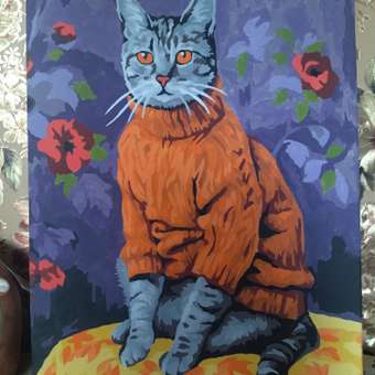Картина по номерам Hobby Paint Кот в свитере в ассортименте: отзыв пользователя Детский Мир