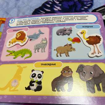 Книга Кто где живет кто что ест Книга с липучками: отзыв пользователя Детский Мир