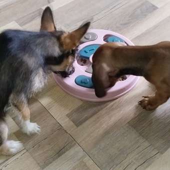 Корм для щенков ROYAL CANIN Puppy мелких пород 4кг: отзыв пользователя. Зоомагазин Зоозавр