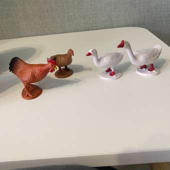 Игровой набор 1TOY Домашняя птица: отзыв пользователя ДетМир