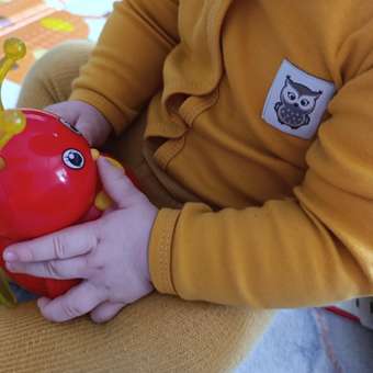 Боди 2 шт Совенок Дона: отзыв пользователя Детский Мир