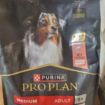 Корм сухой для собак PRO PLAN SENSITIVE SKIN 3 кг с лососем для средних пород: отзыв пользователя. Зоомагазин Зоозавр