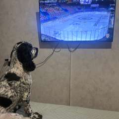 Фото отзыва 10718523