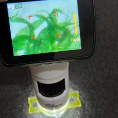 Фото отзыва 10652857