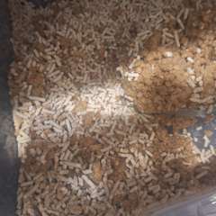 Фото отзыва 10607300