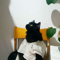 Фото отзыва 10746377