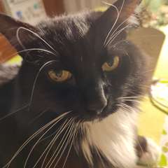 Фото отзыва 10924289