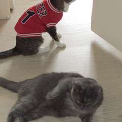 Фото отзыва 11085096