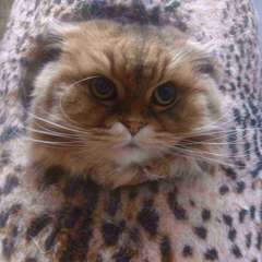 Фото отзыва 10750995