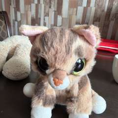 Фото отзыва 11093927