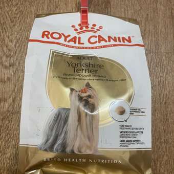 Корм для собак ROYAL CANIN породы йоркширский терьер 500г: отзыв пользователя. Зоомагазин Зоозавр