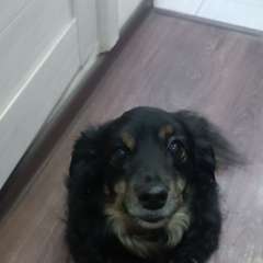 Фото отзыва 10444148