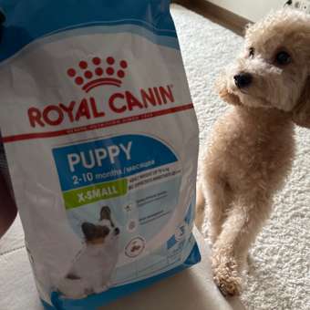Корм для щенков ROYAL CANIN Junior миниатюрных пород 1.5кг: отзыв пользователя. Зоомагазин Зоозавр